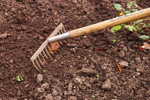 Почему у каждой хозяйки в доме должно храниться кусковое мыло