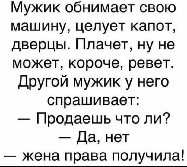 Отдамся в хорошие женские руки. В еде неприхотлив, налево отгулял...