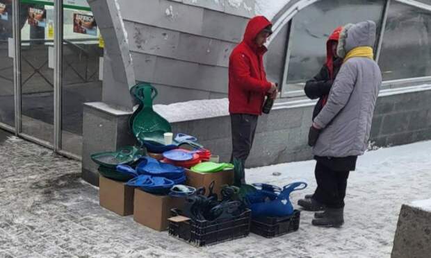 Двести ледянок изъяли у нелегальных торговцев в Новосибирске