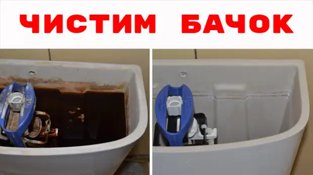 Как отмыть туалет внутри где вода