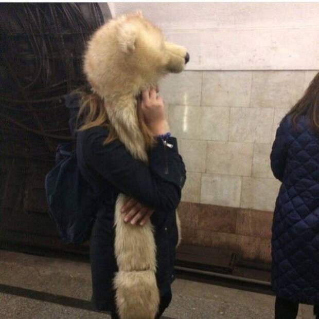 Прикольные картинки абавсём:D