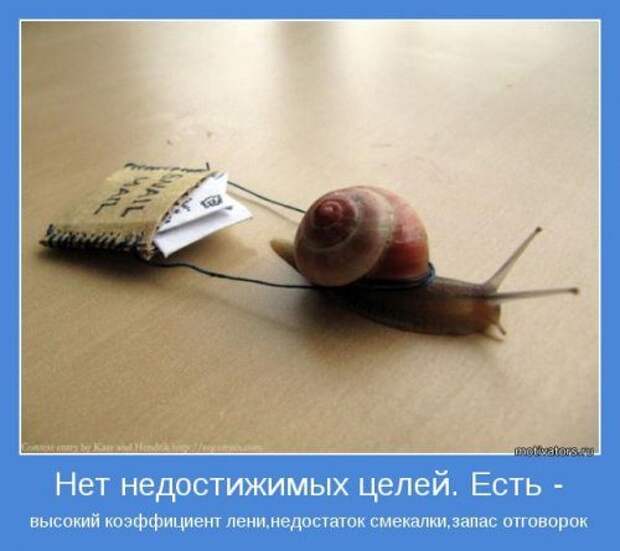 Мотиваторы позитива