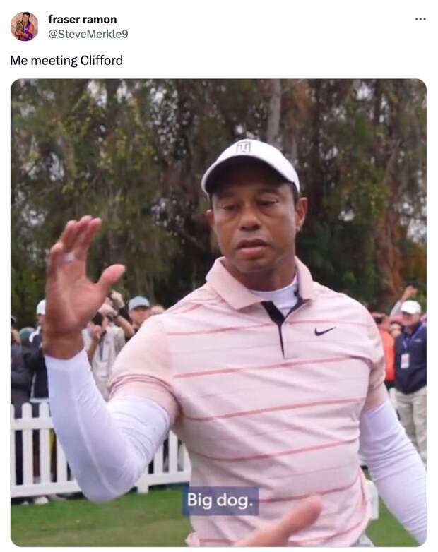 best of the Tiger Woods Big Dog meme