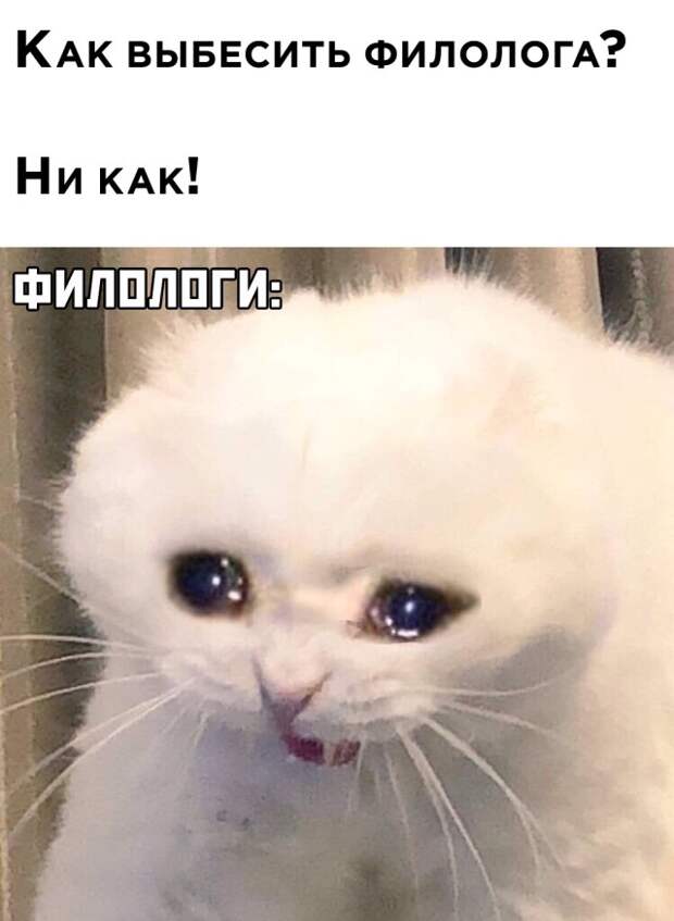 Смешные картинки 28 сентября 2021 года