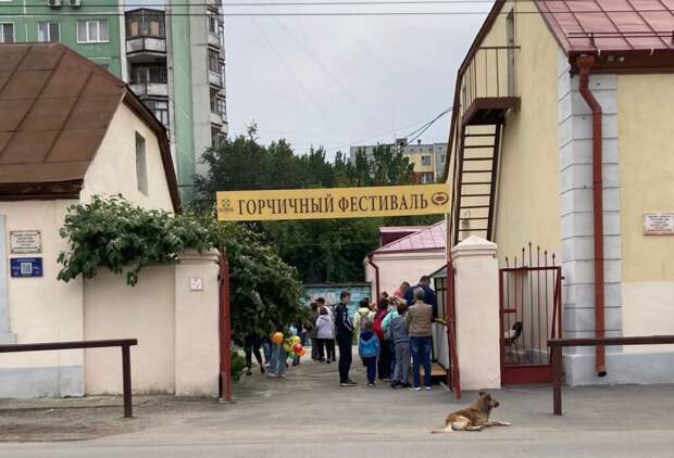 В Старой немецкой слободе в Волгограде пройдет самобытный горчичный фестиваль