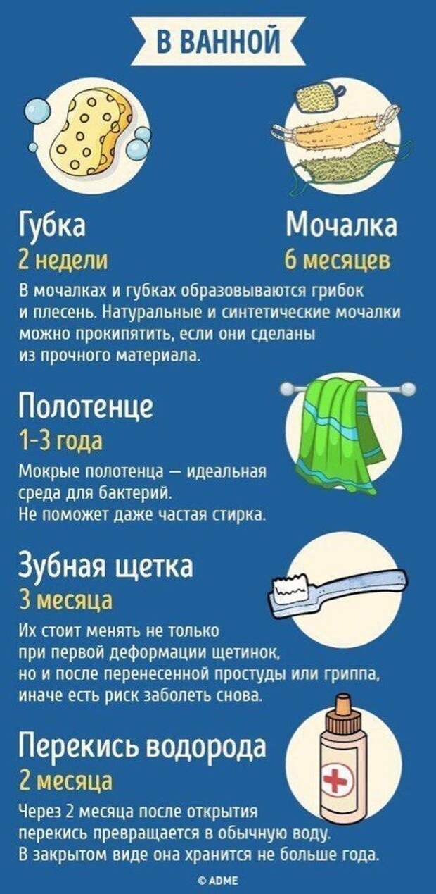 Шпаргалки для тех, кто хочет стать настоящим эрудитом Шпаргалки для тех, кто хочет стать настоящим эрудитом