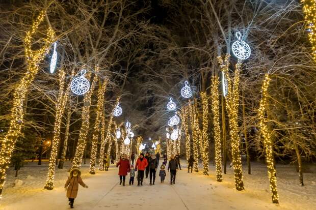 Неработающих лентяев подсчитали в Новосибирской области