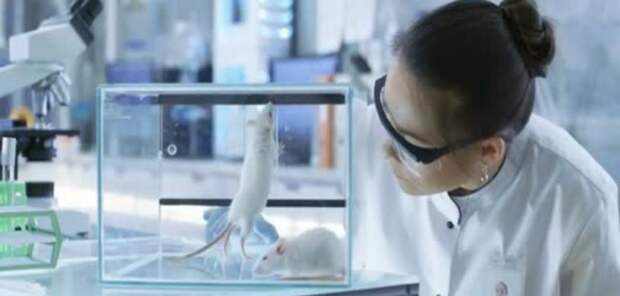 depositphotos_162051986-stock-video-medical-research-scientists-examines-laboratory
