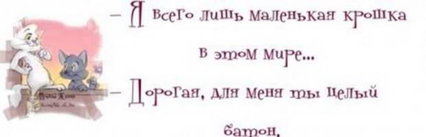 Жизненные мысли :-))