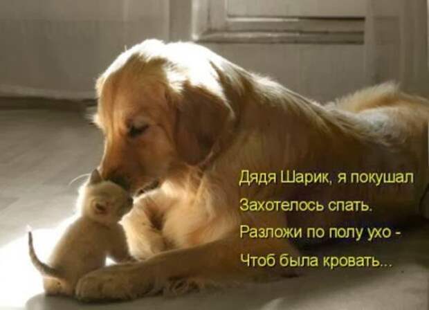 8f1992f6d8d5bad3691f7d1a322_prev