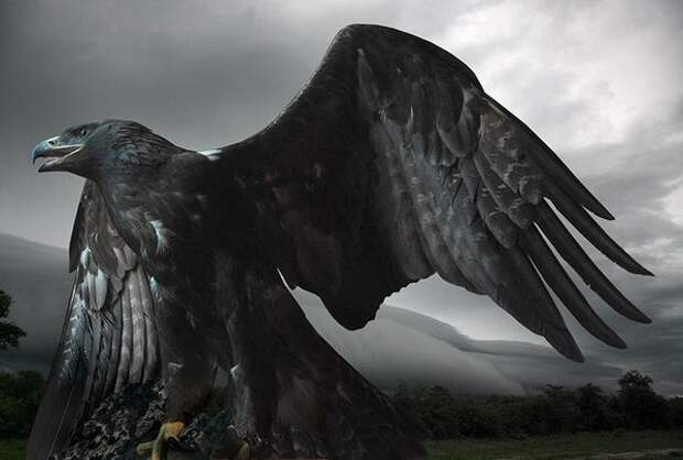 Лучшие фотографии International Photography Awards (IPA) 2007