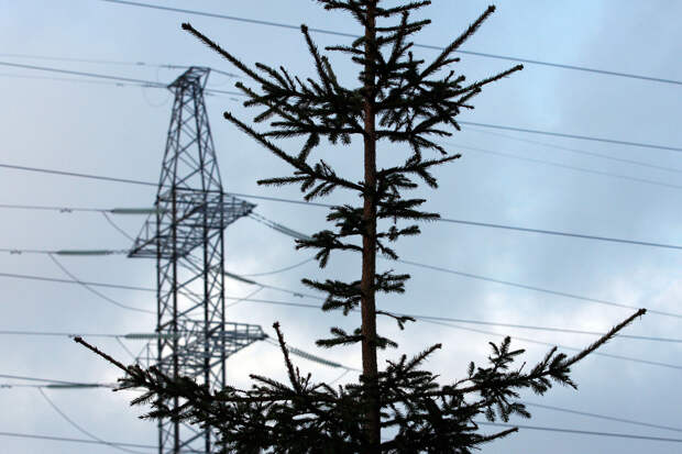 Жители российской деревни уже две недели остаются без света