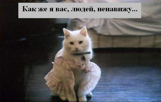 Мысли :) (50мыслей)