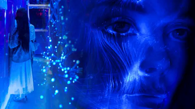 Интернет: цифровой след и цифровая слежка