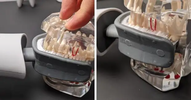 Зубная щётка