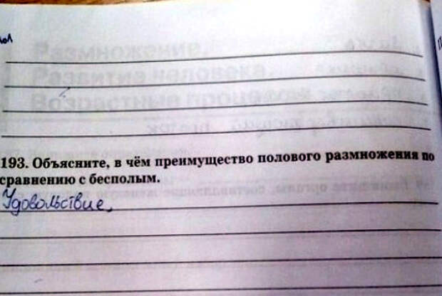 Аргументированный ответ.