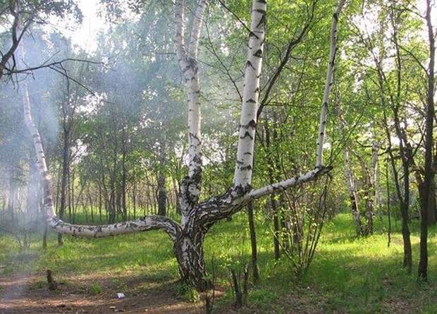 Самые жуткие места в России, наводящие леденящий ужас creepyrussia07 Самые жуткие места в России, наводящие леденящий ужас