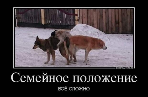 Сборник демотиваторов (18 шт)