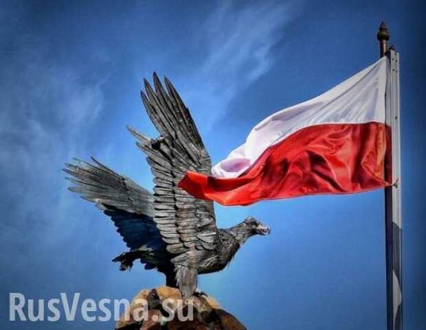 Лавочка закрывается: Увольняемые в Западной Европе поляки могут лишить украинцев рабочих мест | Русская весна