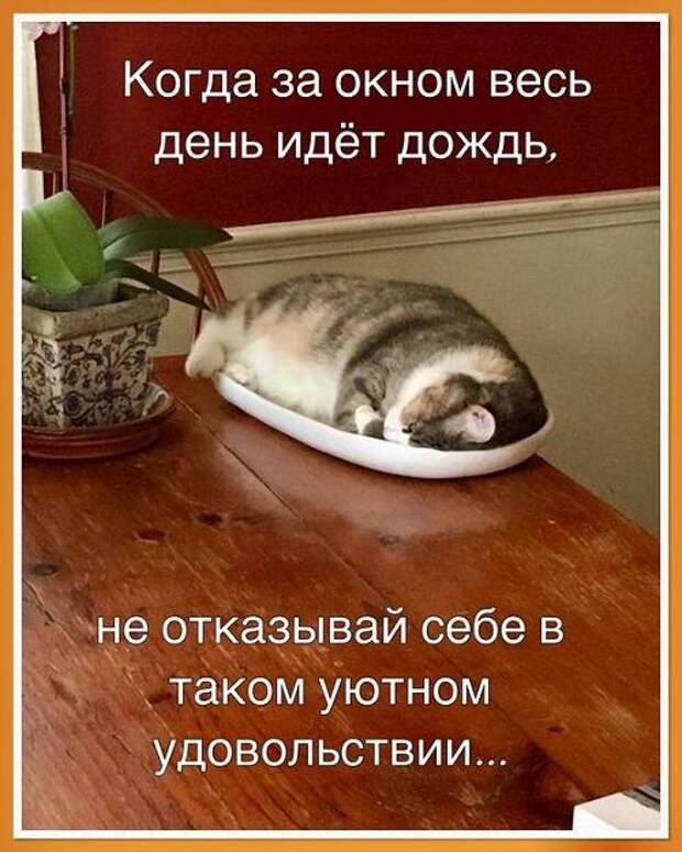 Прикольные до слез свежие мемы (суббота)