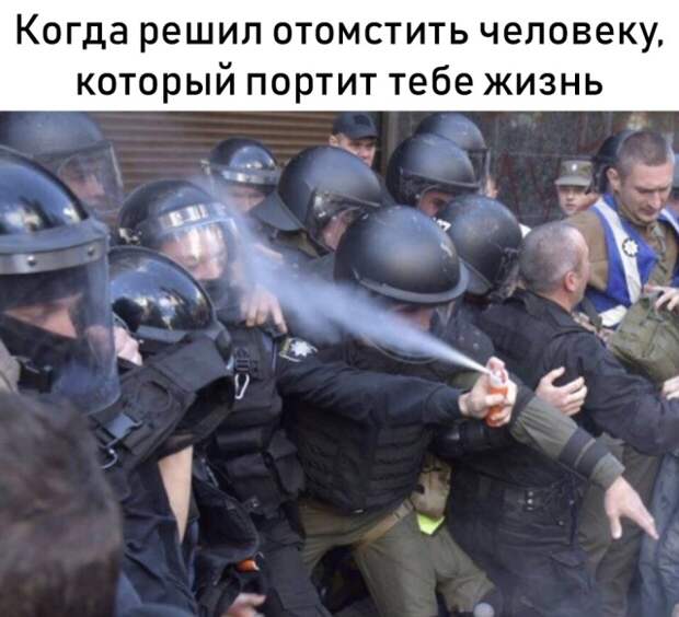 Подборка картинок (20 фото)