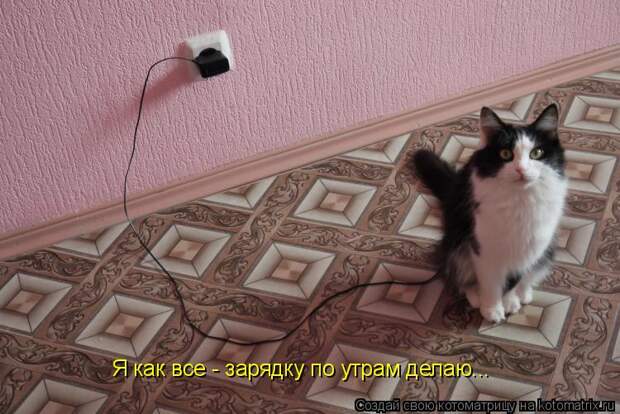 Котоматрица - Я как все - зарядку по утрам делаю...
