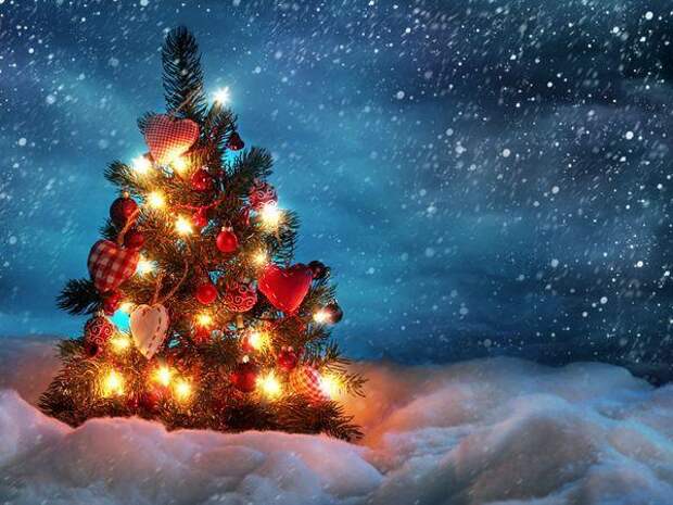Новогодние обои "Marrry Christmas" Новогодние обои "Marrry Christmas"