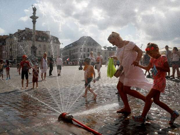 15 фото, демонстрирующих, что сделала аномальная жара с миром этим летом