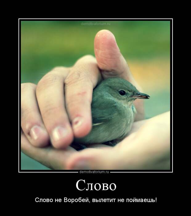Слово не воробей: вылетит Слово не воробей: вылетит