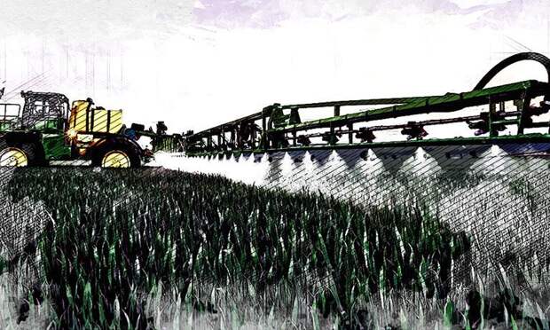 Создание Национального семеноводческого центра в Орле обернулось одними разговорами