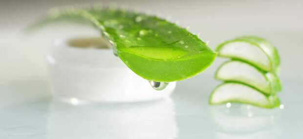 никотиновая кислота в ампулах