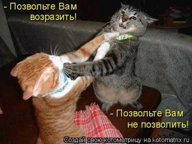 Прикольная котоматрица за неделю