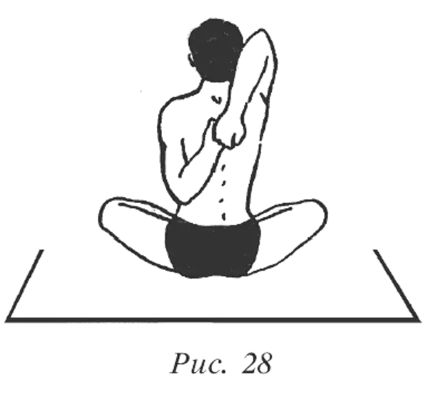 6 упражнение 20. русский язык 6 класс тетрадь. математика 4 класс 2 часть страница 84 упражнение 20. упражнения на пресс в картинках для детей. математика 4 класс 2 часть страница 84 упражнение 19.