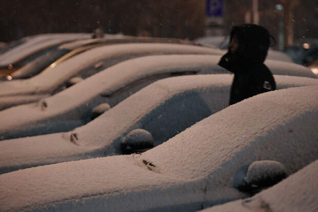 В Москве наблюдается метель, в Подмосковье выпало до 65% месячной нормы осадков