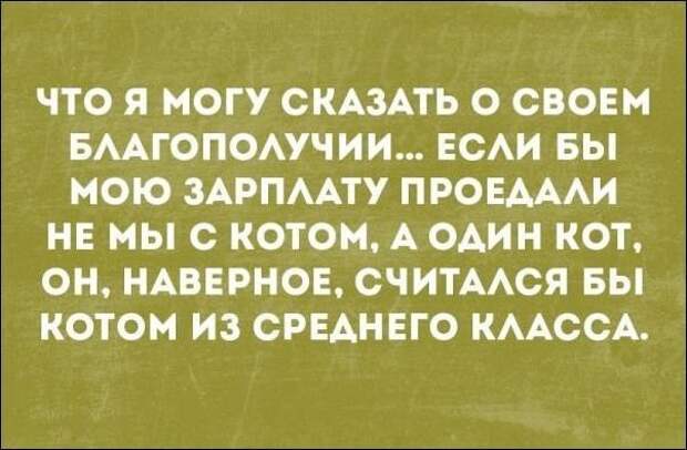 Смешные «Аткрытки» картинки, прикол, юмор