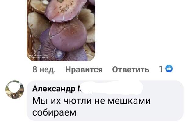 Чютли-мютли Чютли-мютли