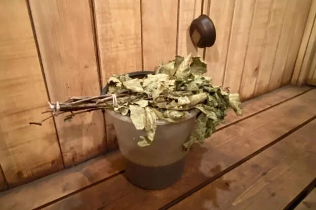 Врач Кондрахин: прыжок в снег после бани вызовет мощный выброс адреналина