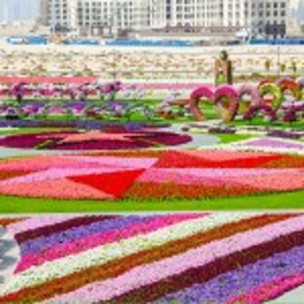 Dubai Miracle Garden