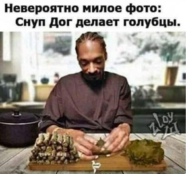 Смешные и познавательные картинки
