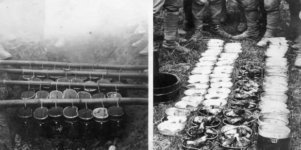 Основы государственности и долголетия. Японская культура питания: рис, рыба, этикет…