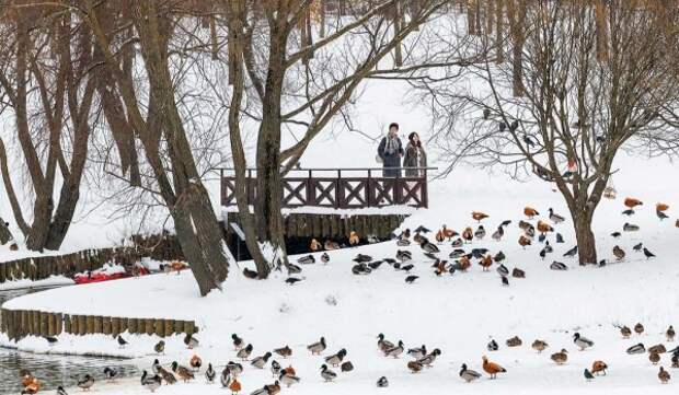 Слабые магнитные бури начались на Земле