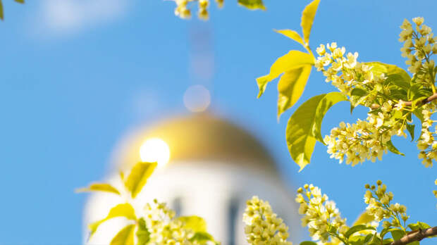 Фото: Daria Lixovetckay / Shutterstock / Fotodom Фото: Daria Lixovetckay / Shutterstock / Fotodom
