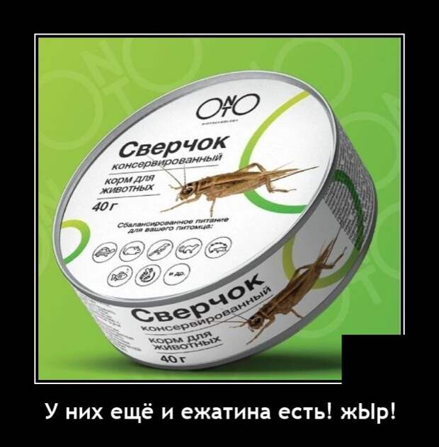 Демотиваторы 8 октября 2021 года