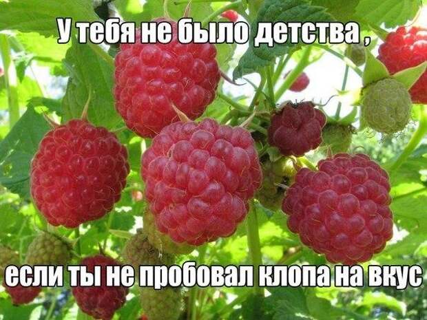 Свежие картинки и позитивные фото с надписями со смыслом (10 фото) Свежие картинки и позитивные фото с надписями со смыслом (10 фото)
