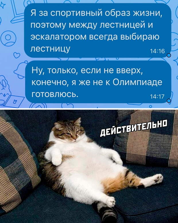 Самые смешные картинки с надписями