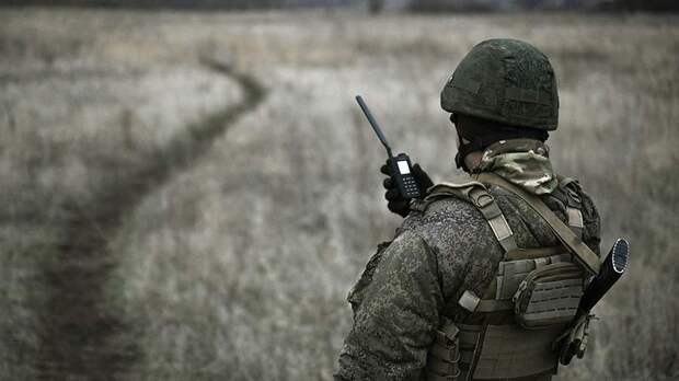 В зону СВО отправили новый российский дрон-камикадзе «Пчела» с жалом