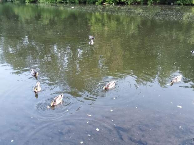 В Малоархангельском районе утром утонул мужчина