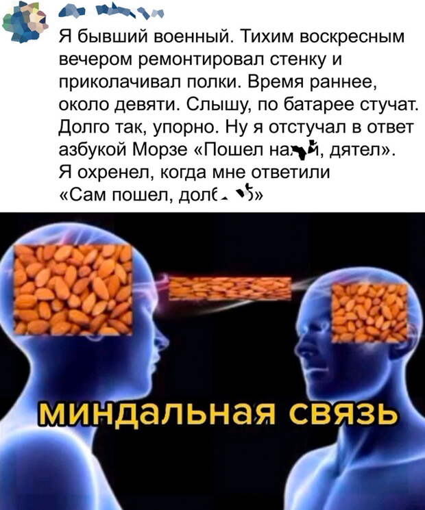 Самые смешные картинки с надписями