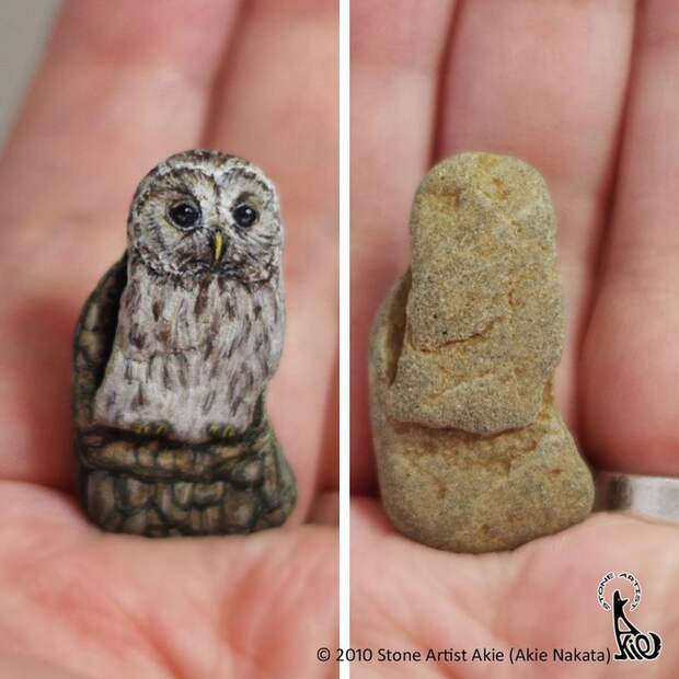 Блог - Японка превращает камни в реалистичных животных Японка превращает камни в реалистичных животных