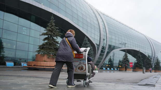 Работу московских аэропортов Жуковский и Домодедово временно ограничили